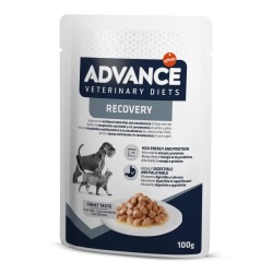 ADVANCE DOG E CAT RECOVERY VETERINARY DIETS 100 GR