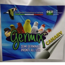 GERMIX CANARINI EVOLUTION DRY 1 KG 