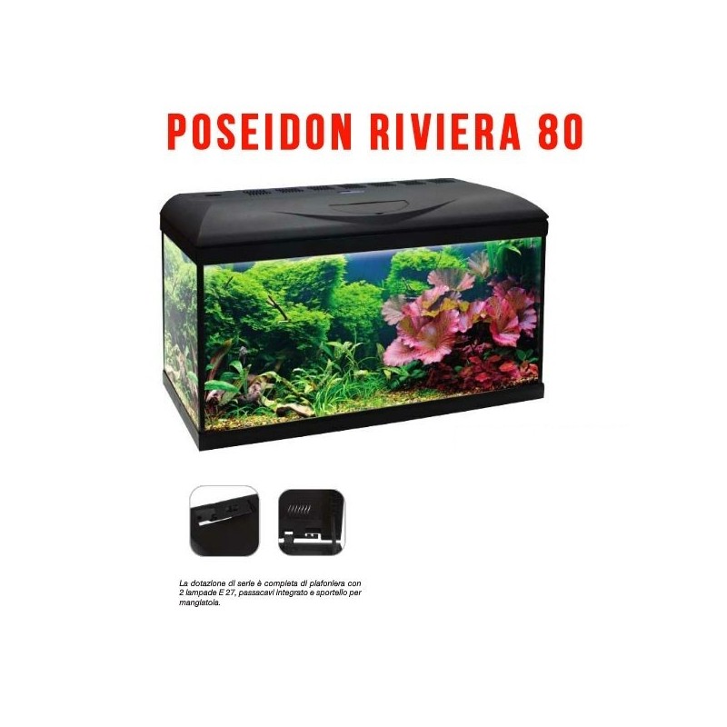 ACQUARIO POSEIDON RIVIERA 80 BASIC WAVE