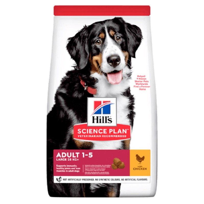 HILL'S SCIENCE PLAN CANINE ADULT LARGE POLLO 12 KG