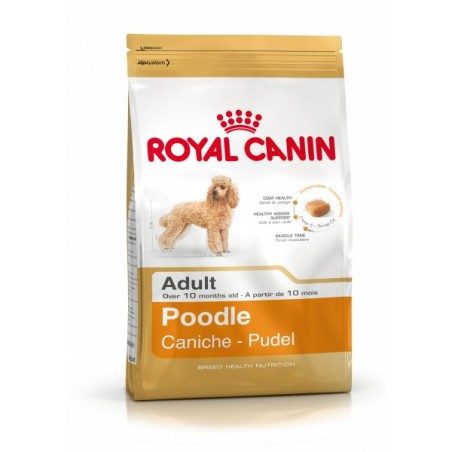 ROYAL CANIN POODLE ADULT KG 1,5 