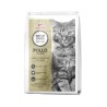NATUR FOOD CAT ADULT POLLO CON RISO 300 GR