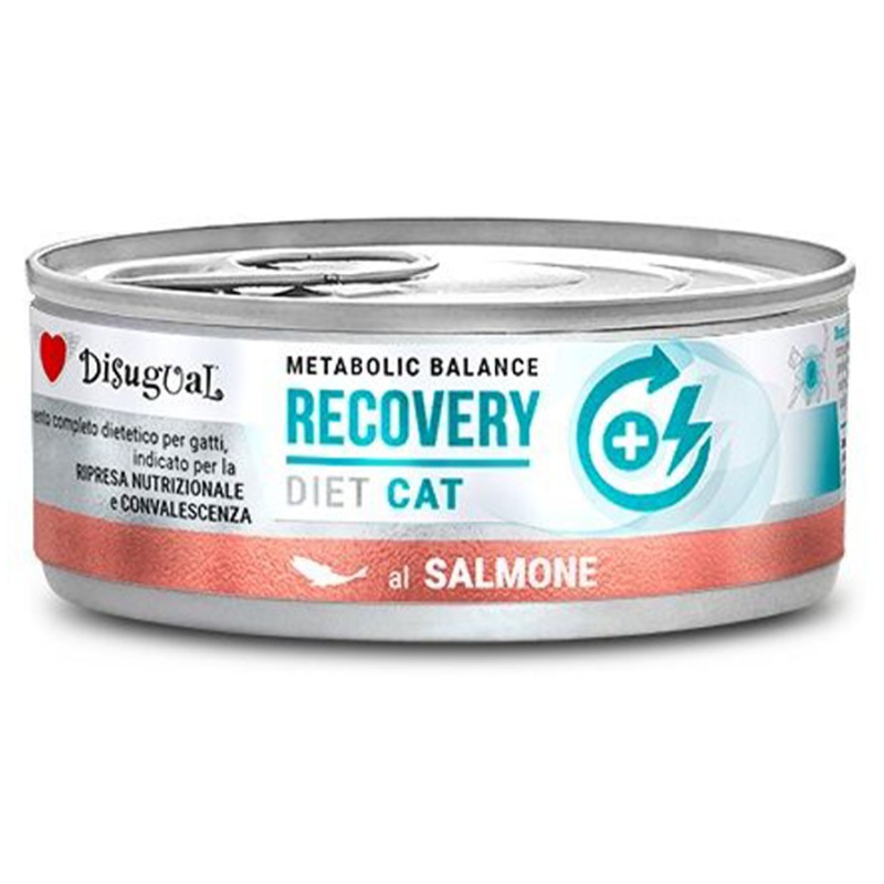 DISUGUAL DIET CAT RECOVERY SALMONE 85 GR